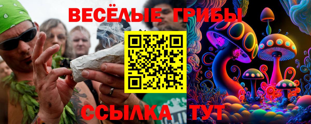 купить наркотики цена  Галлюциногенные грибы Cubensis  Галлюциногенные грибы ЛСД  Вход с VPN  Шахты 